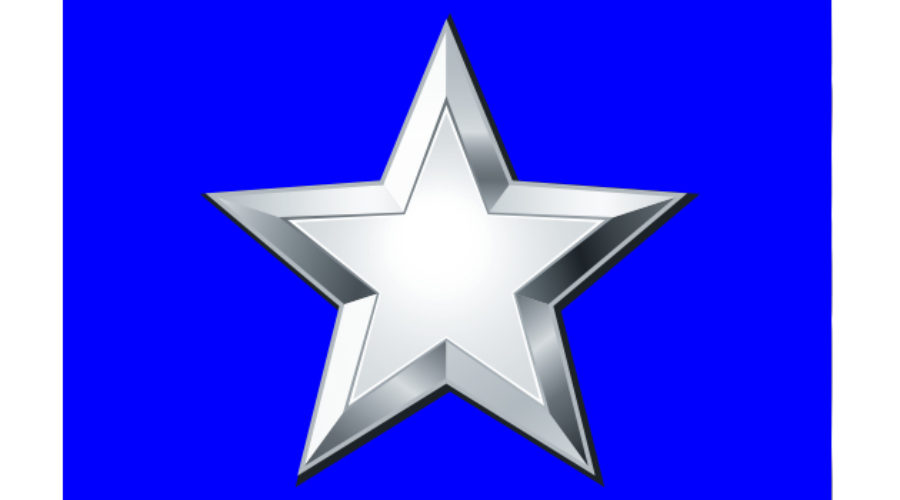 silver star service banner