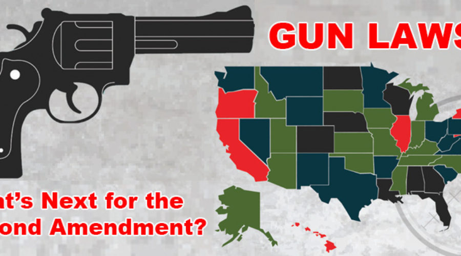 gun laws by state