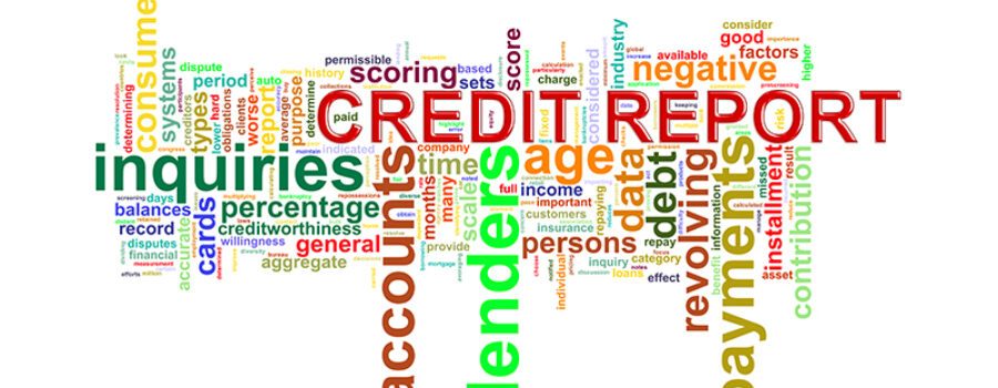 Credit Reporting Agencies