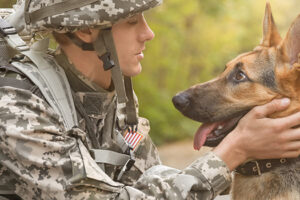 Military Service Dogs